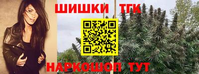 дживик Кингисепп