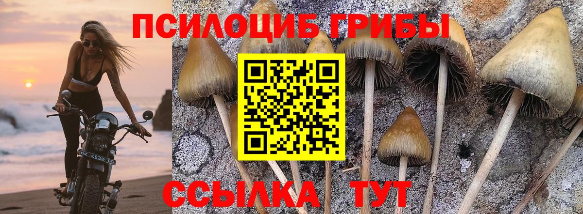 Псилоцибиновые грибы Cubensis  Галлюциногенные грибы Psilocybe  Комсомольск-на-Амуре  Вход с VPN 